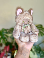 Load image into Gallery viewer, Small | cinnamon Roll Kitty