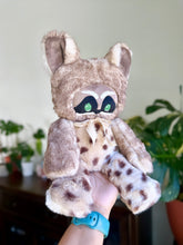 Load image into Gallery viewer, Medium | Snickers Raccoon🦝
