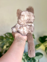 Load image into Gallery viewer, Small | cinnamon Roll Kitty
